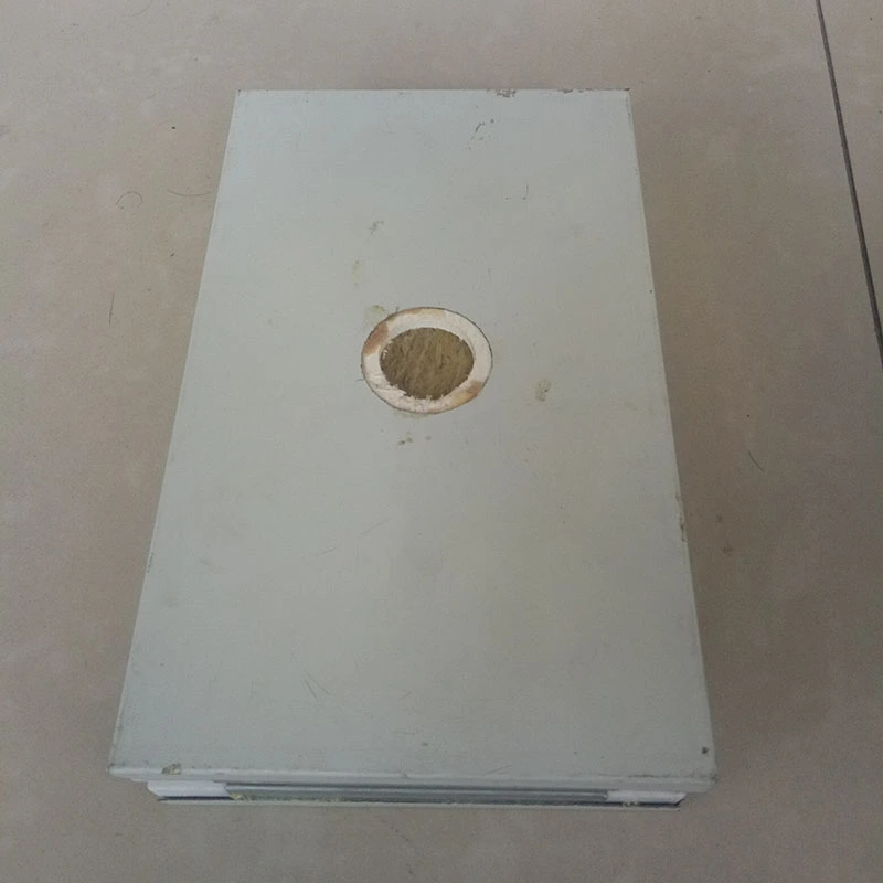 Cleanroom Panels rhoncus